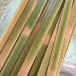 Bamboo slice bamboo slice 2
